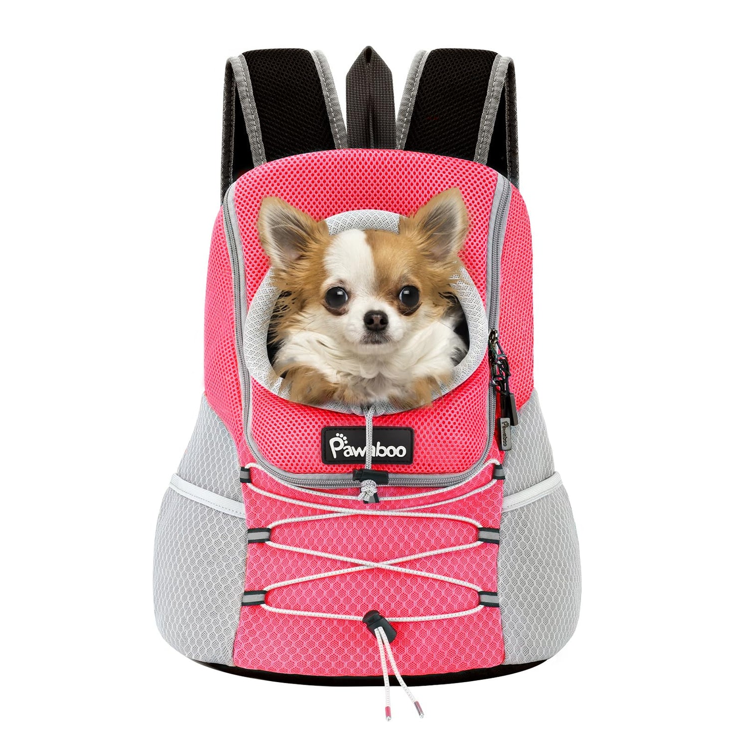 Pet Supplies