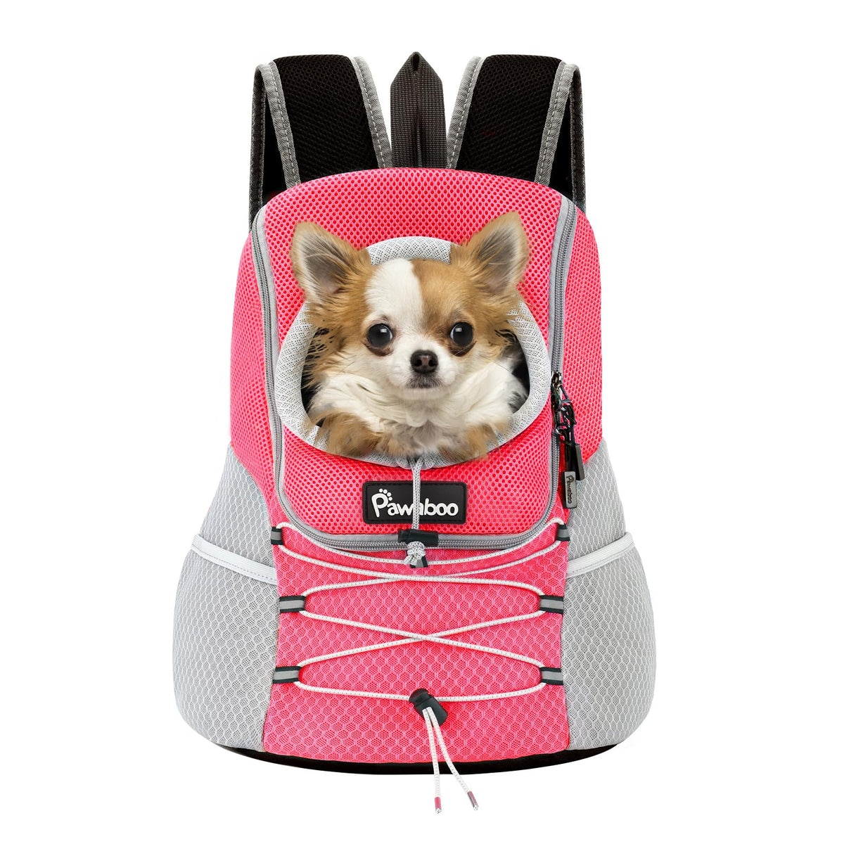Pet Supplies