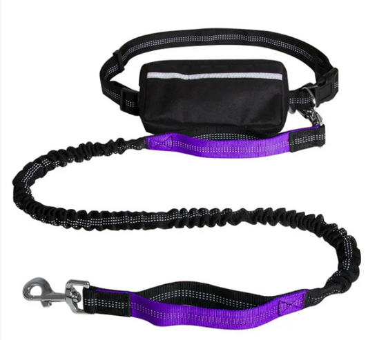 FlexiGlow Hands-Free Dog Leash