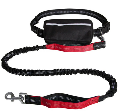 FlexiGlow Hands-Free Dog Leash