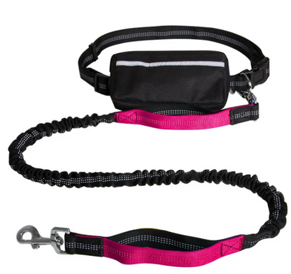 FlexiGlow Hands-Free Dog Leash