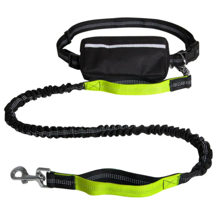 FlexiGlow Hands-Free Dog Leash