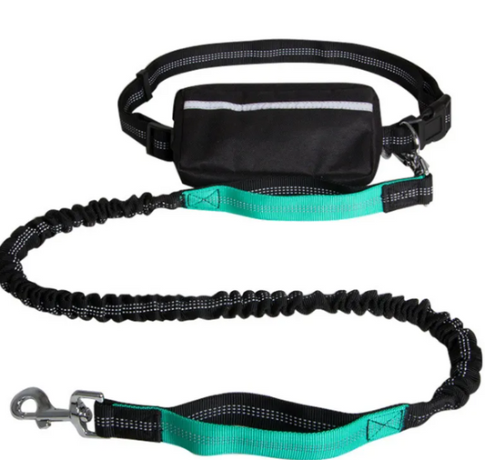 FlexiGlow Hands-Free Dog Leash